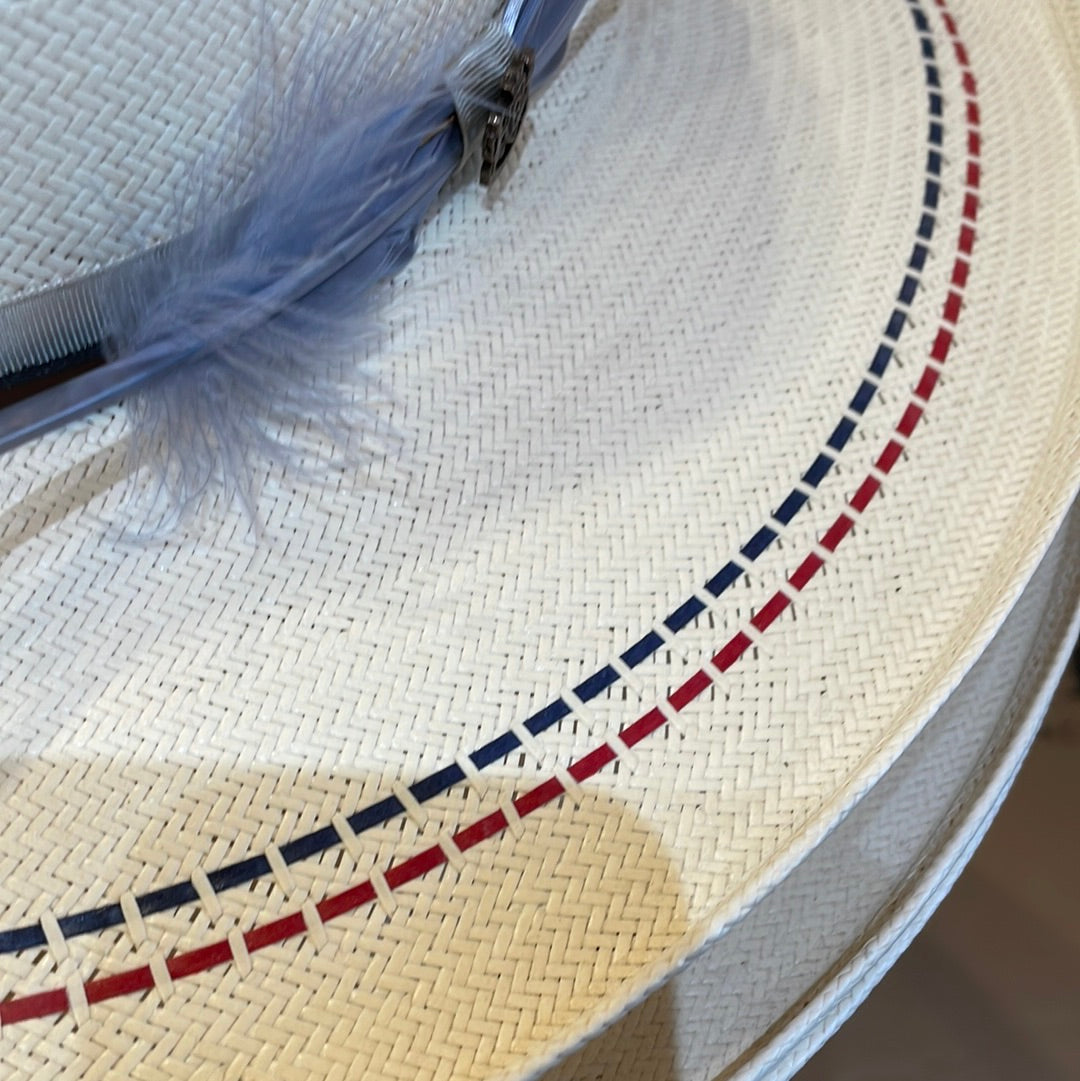 Biltmore Capitol Shantung Big Brim Hat