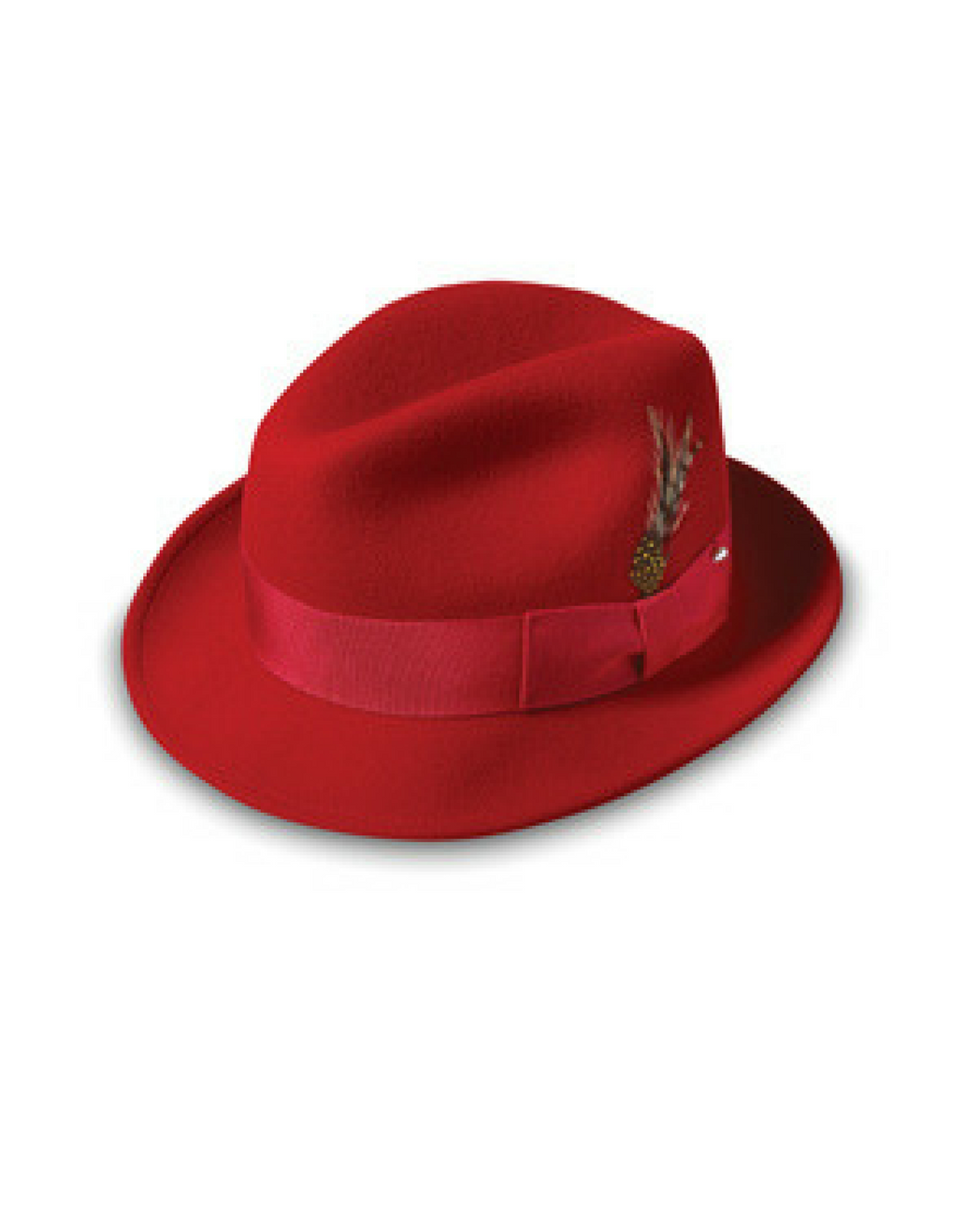 Capas Blues Brothers Fedora