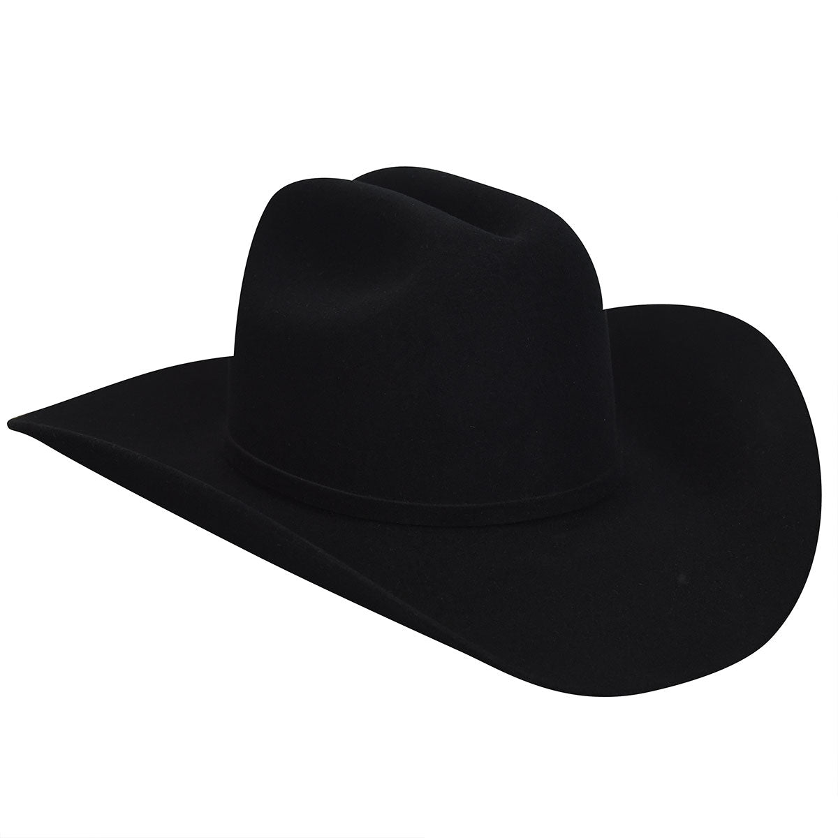 Bailey Lightning 4X Western Hat