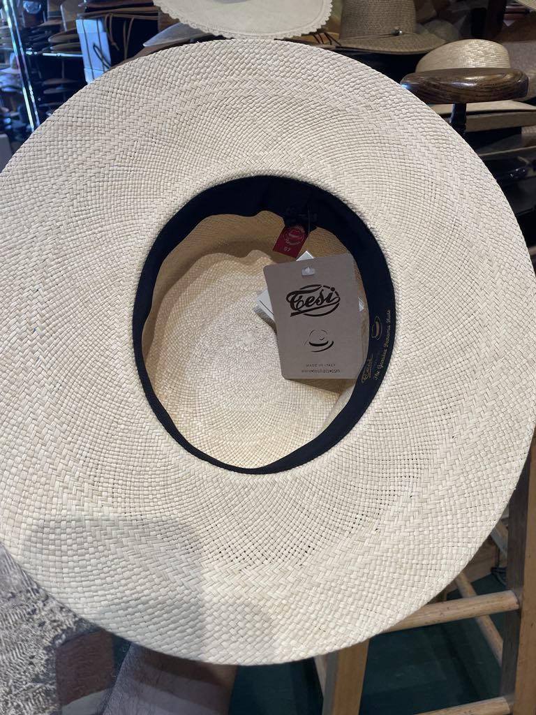 Tesi Gondoliere Panama