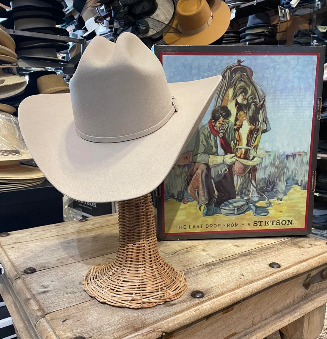 Stetson Fur Felt Cowboy Hat Skyline
