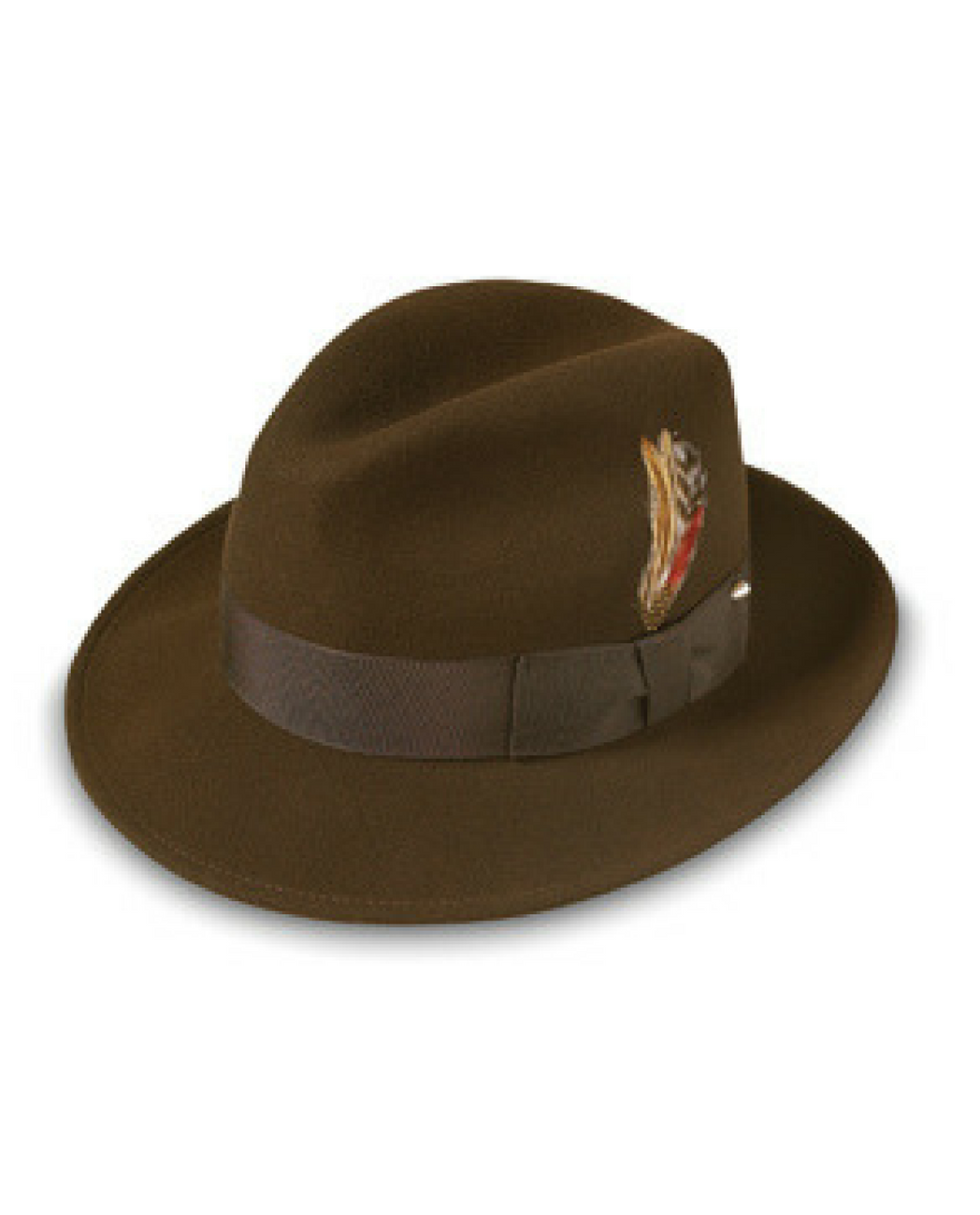 A brown fedora with a brown hatband, accented with a small feather.