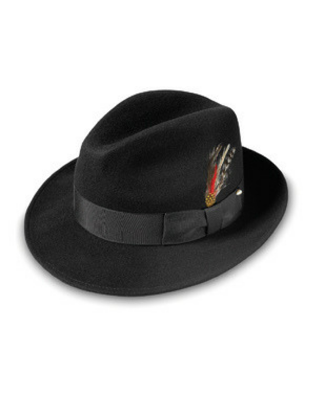 A black fedora with a black hat band, accented with a small feather.