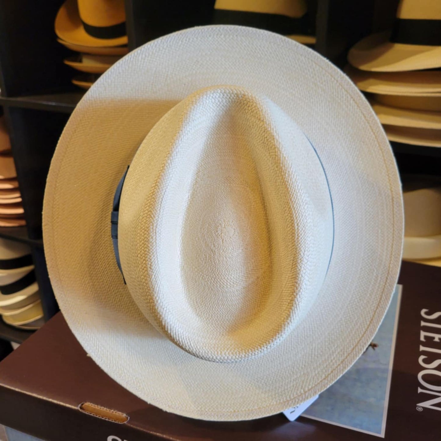 Signes Italian Panama Fedora
